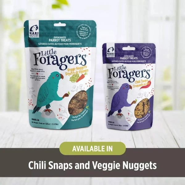 Premium Hari Little Foragers Parrot Treats - Chili Snaps Bird Food for Cockatiels & Parakeets | Healthy Snack for Training & Bonding with Your Pet Bird