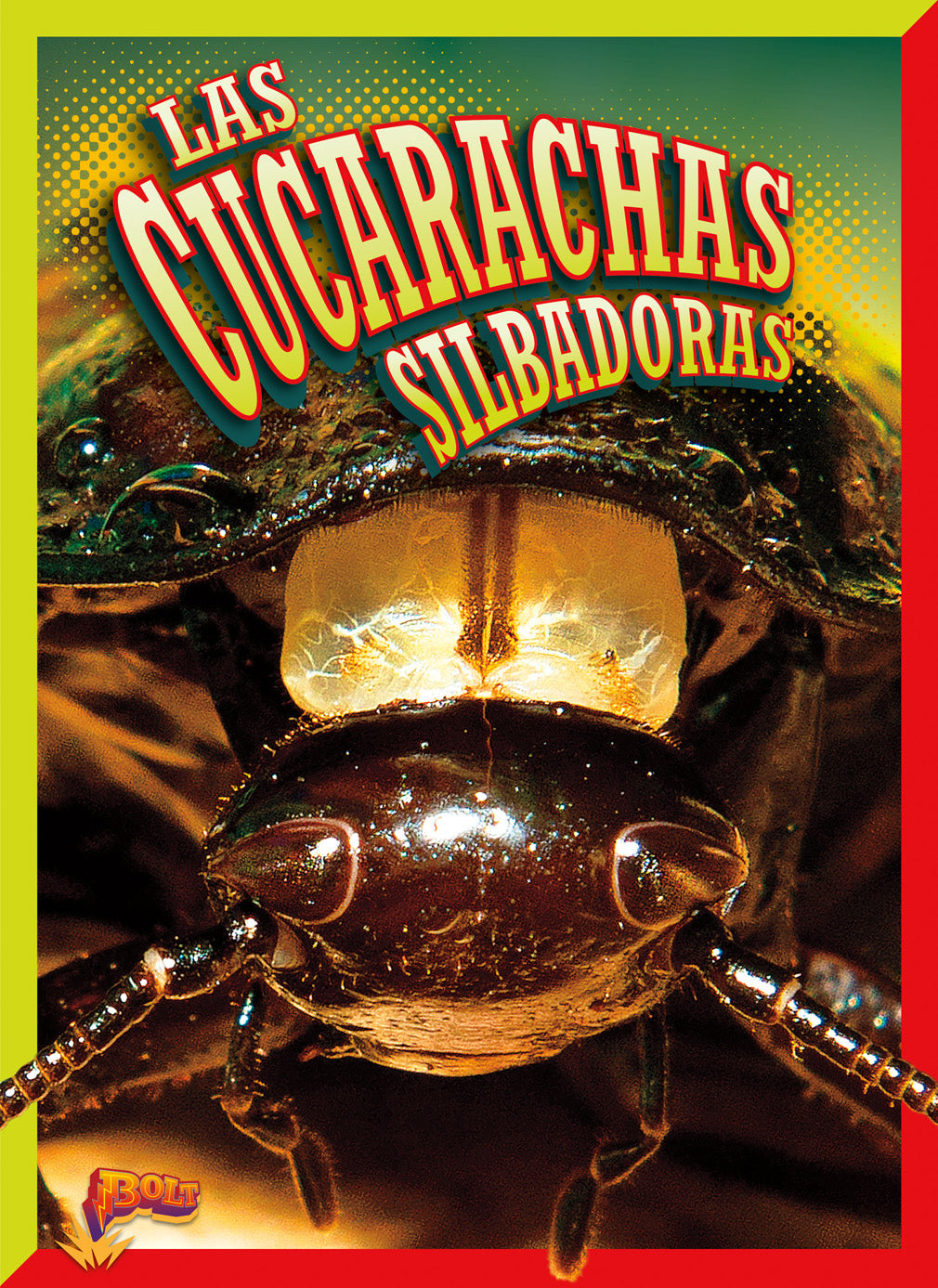 Hissing Cockroaches for Sale - Live Madagascar Hissing Roaches - Perfect for Reptile Food, Science Projects & Exotic Pets - Ideal for Educational Use & Terrarium Enclosures