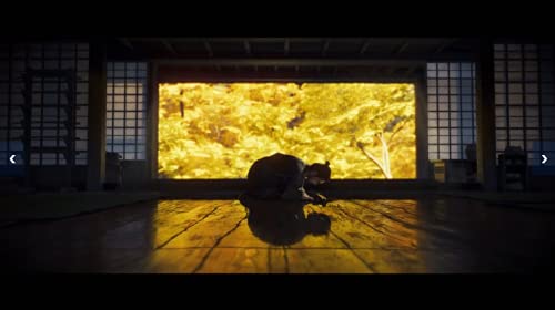 Ghost of Tsushima: Director's Cut for PlayStation 5 (PS5) - Open-World Samurai Adventure Game for PS5 Console - Perfect for Action RPG Fans & Japanese Culture Enthusiasts