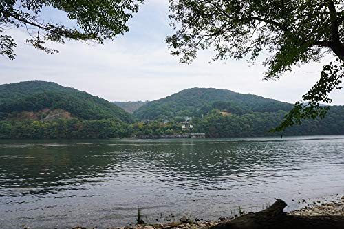 20x30 Inch Laminated Nature Poster - Stunning Chuncheon Forest Lake & Gangwon River Landscape - Vibrant Colors & HD Print - Perfect for Home, Office & Classroom Decor - Fits Standard Frames