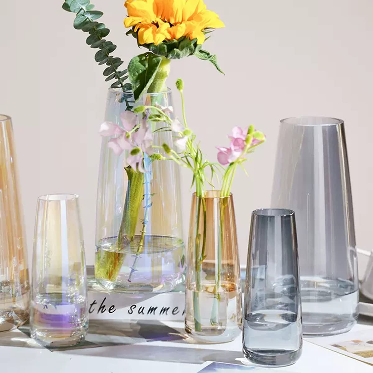 6-Pack Clear Glass Bud Vases for Flowers - Small Decorative Vases for Centerpieces, Weddings, Home Decor & Table Arrangements (Transparent)