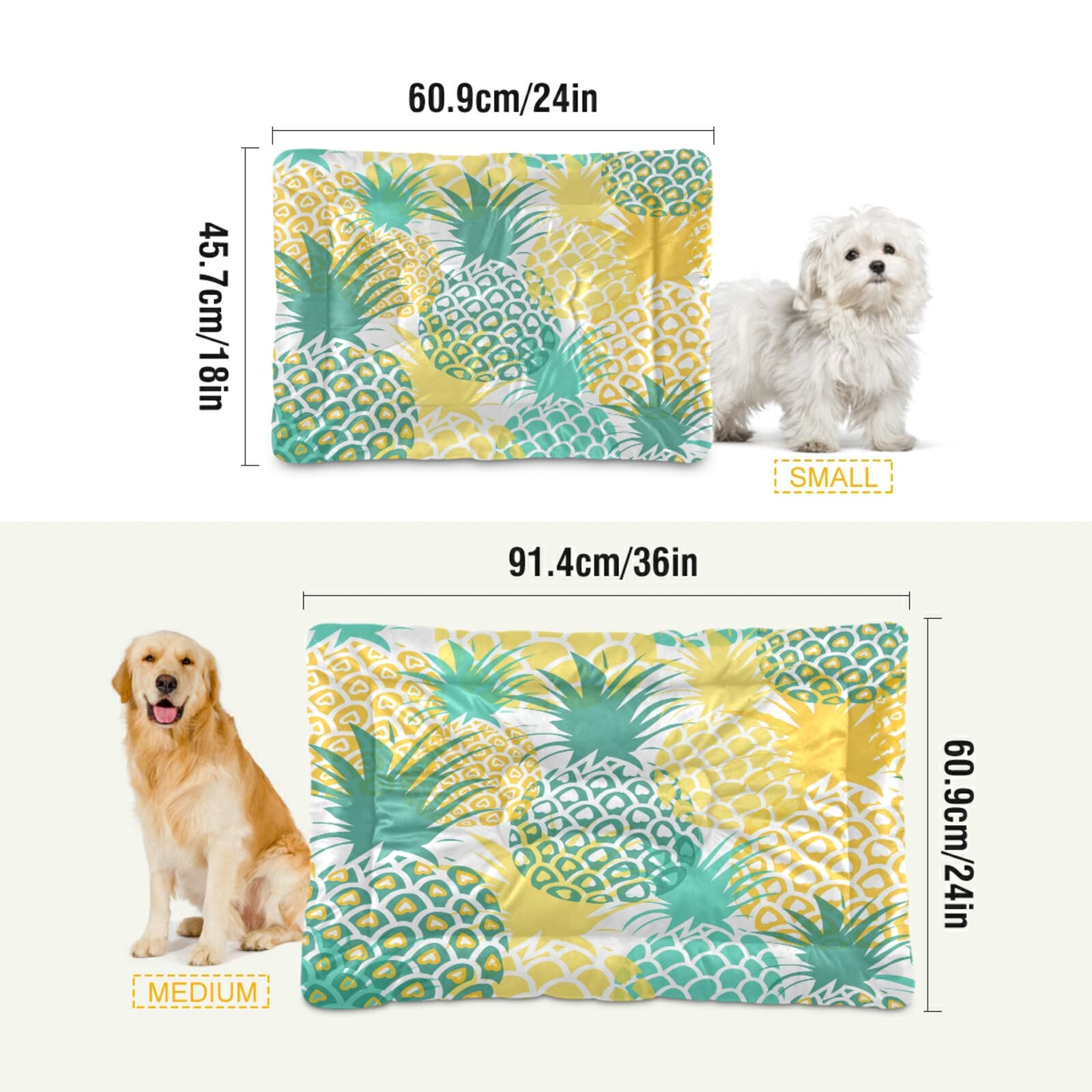 Xigua Pineapple Tropical Dog Bed & Cat Bed - Ultra Soft Rectangle Pet Bed for Small & Medium Dogs - Comfortable Calming Bed 24x18 Inches - Perfect for Indoor Use, Crate Replacement, or Cozy Nap Spot
