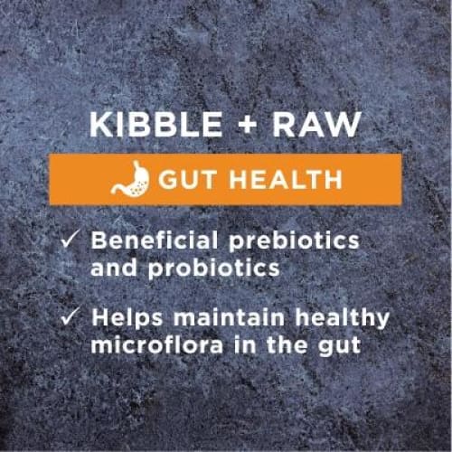 Instinct Raw Boost Grain Free Dry Dog Food for Gut Health - 4.5lb & 11lb Bags - High Protein Kibble for Sensitive Stomachs - Perfect for Adult Dogs with Digestive Issues