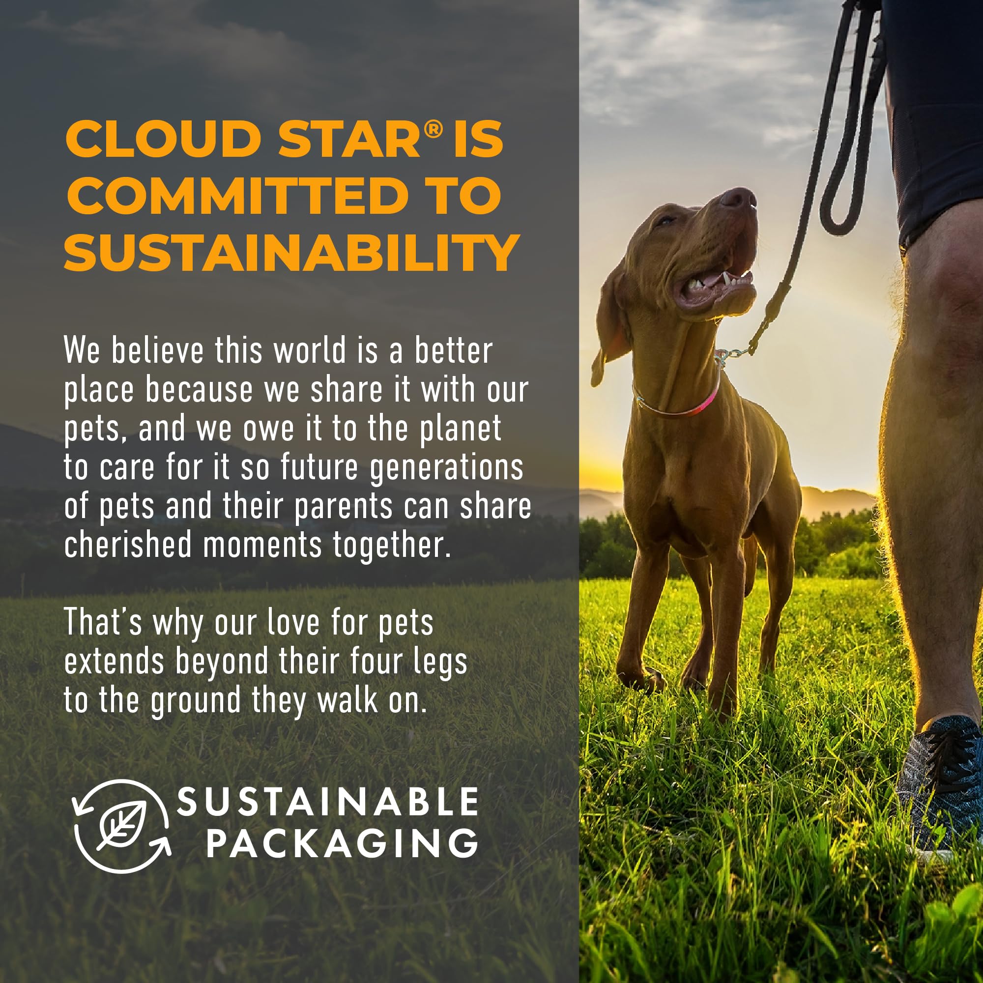 Cloud Star Tricky Trainers Crunchy Dog Training Treats - 8 oz Pouch, Cheddar Flavor, Low Calorie Behavior Reward with 450 Treats | Perfect for Obedience Training, Positive Reinforcement & Puppy Treats