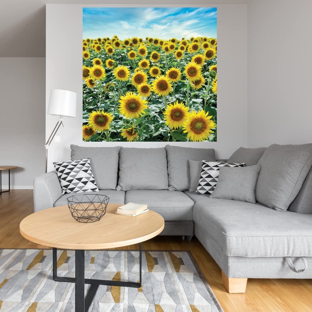 Fine Art Canvas Cortona Sunflowers #2 by Alan Blaustein - 22x22 Inch Ready to Hang Wall Decor - Perfect for Living Room, Bedroom, Office & More - Hand-Painted Floral Canvas Art for Home & Commercial Spaces