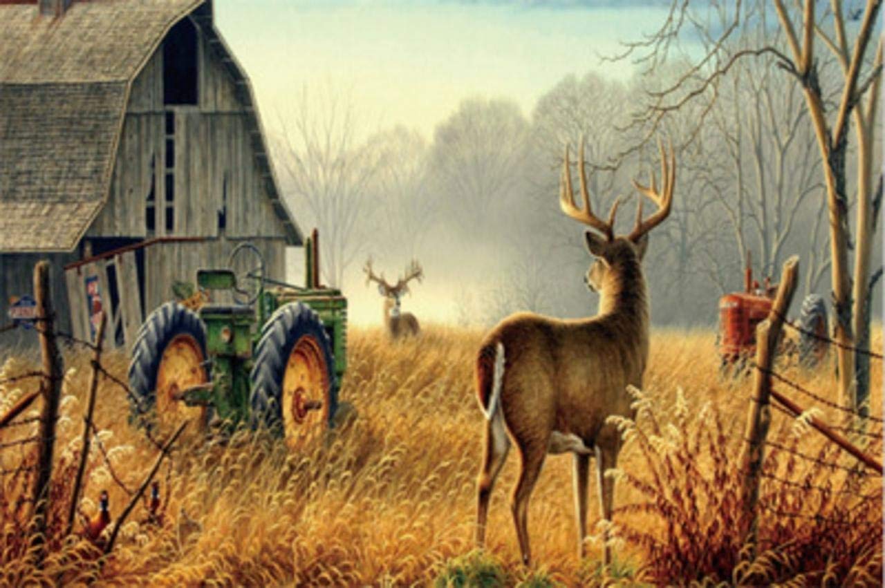Nature Trees Fences Birds Fog Mist Deer Barn Farm Animal Outdoor Door Mat - Non-Slip Rubber Front Entrance Rug for Dirt & Mud - Perfect for Patio, Deck, Porch & Farmhouse Entryway