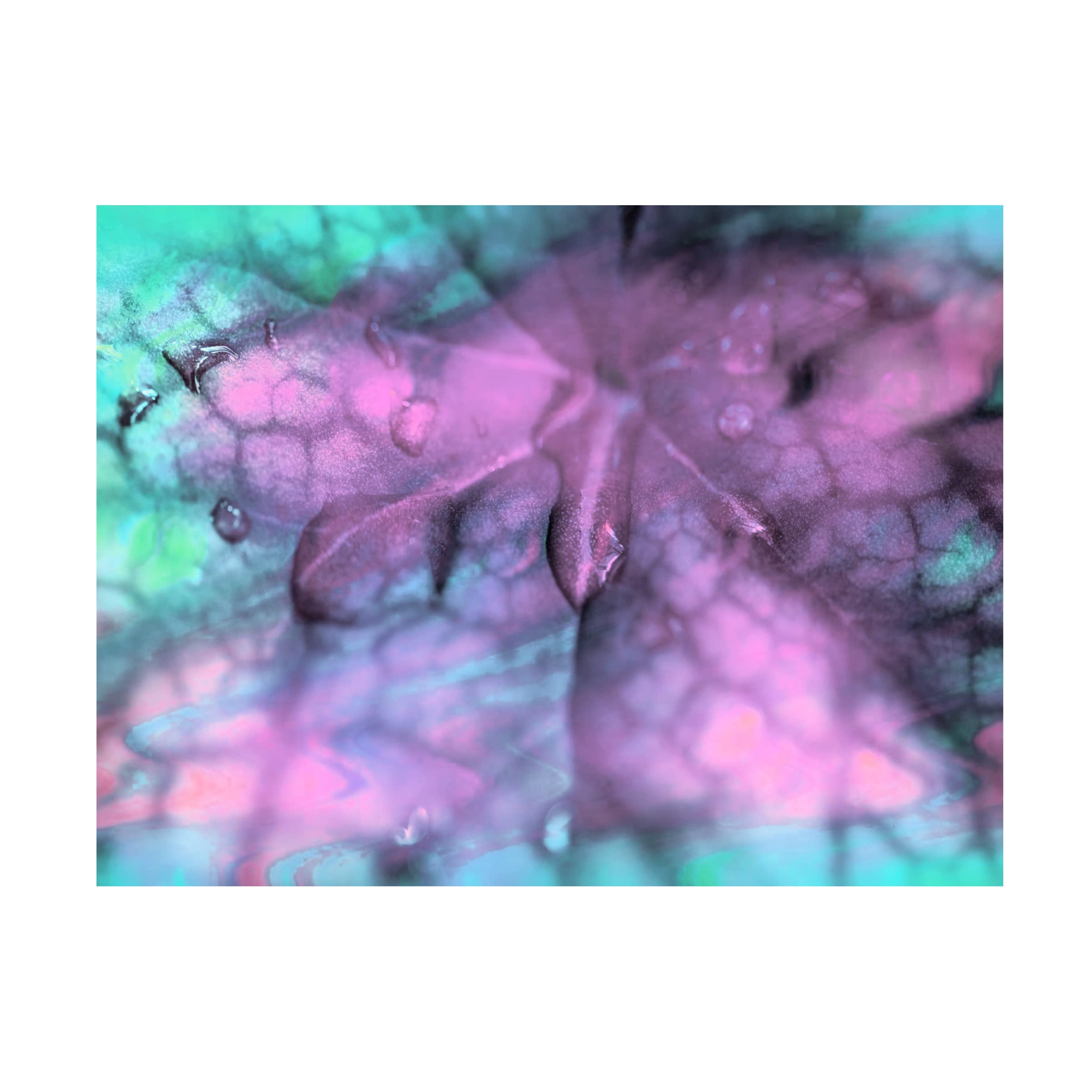 Trademark Fine Art 'Celestial Dew Drops II' Canvas Wall Art by Eva Bane - Modern Abstract Painting for Living Room, Bedroom & Office Decor
