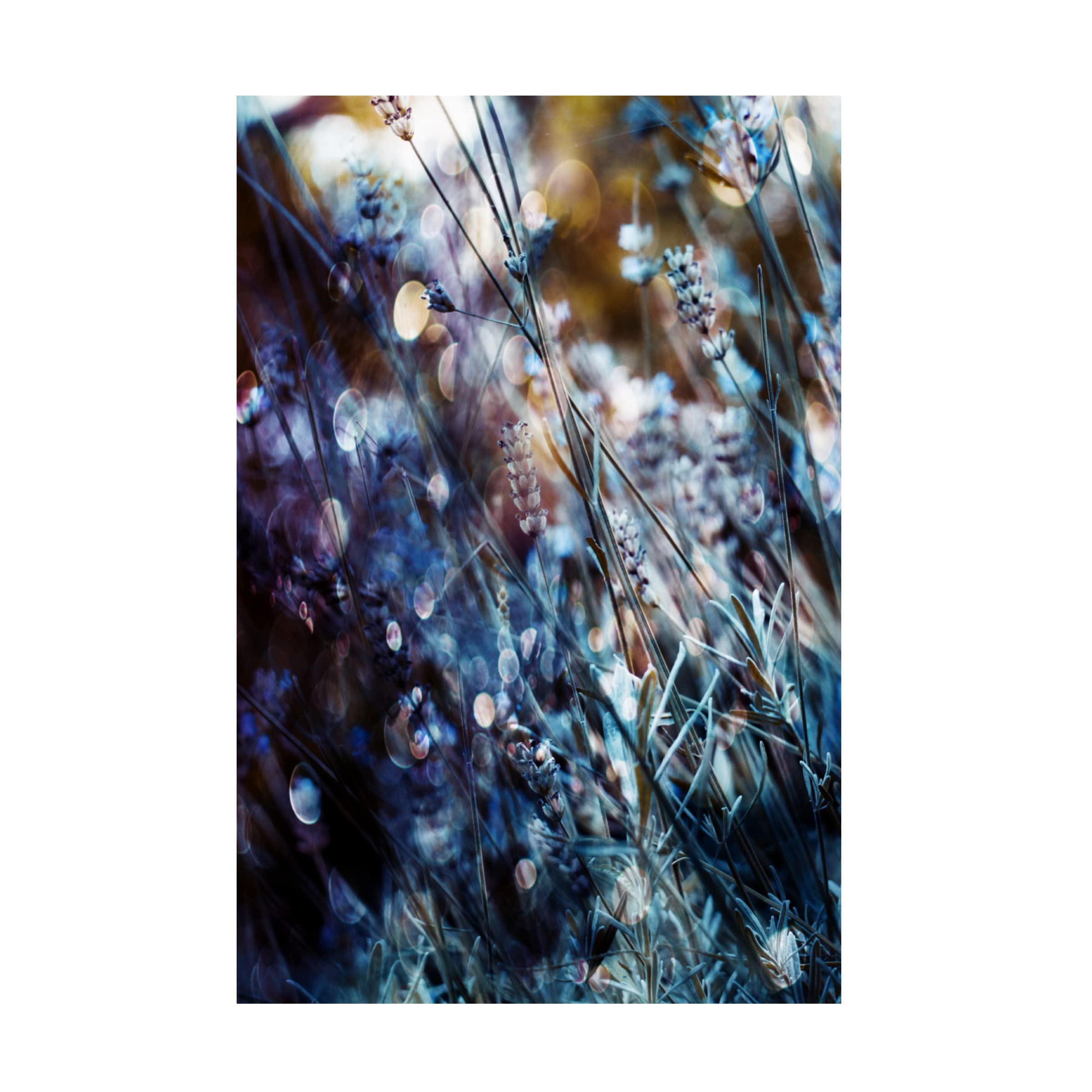 Trademark Fine Art 'Flowers Bubbles A Dreams' Canvas Wall Art by Delphine Devos - Floral Home Decor for Living Room, Bedroom & Office