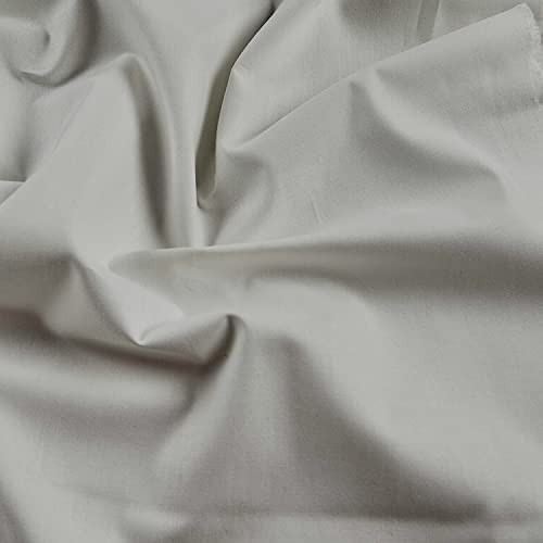 Light Grey Solid