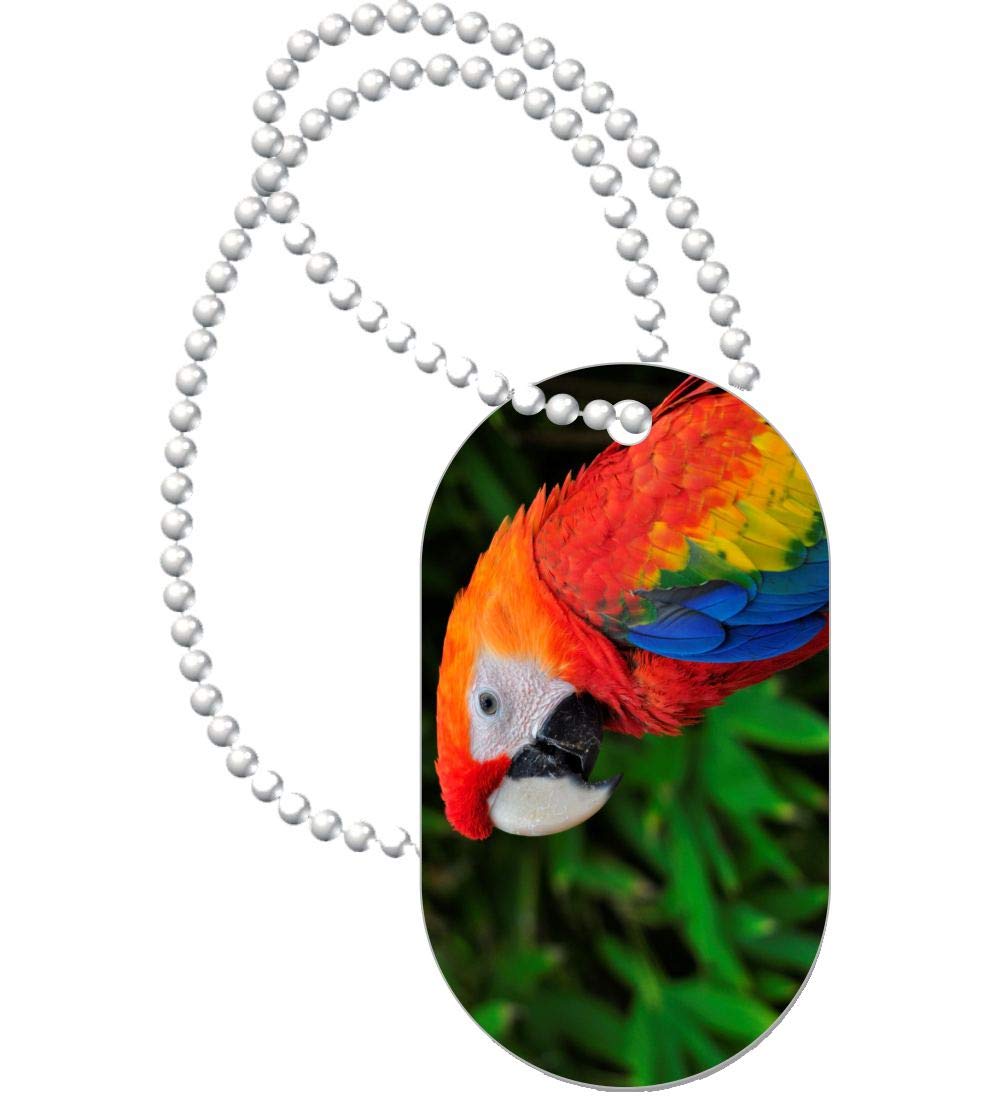 Sam Sandor - Rainbow Color Parrot on Green - Aluminum Dog Tag Necklace & Keychain Set for Pets - Perfect for Pet Lovers, Unique Gift Idea for Dog Owners, Cat Lovers