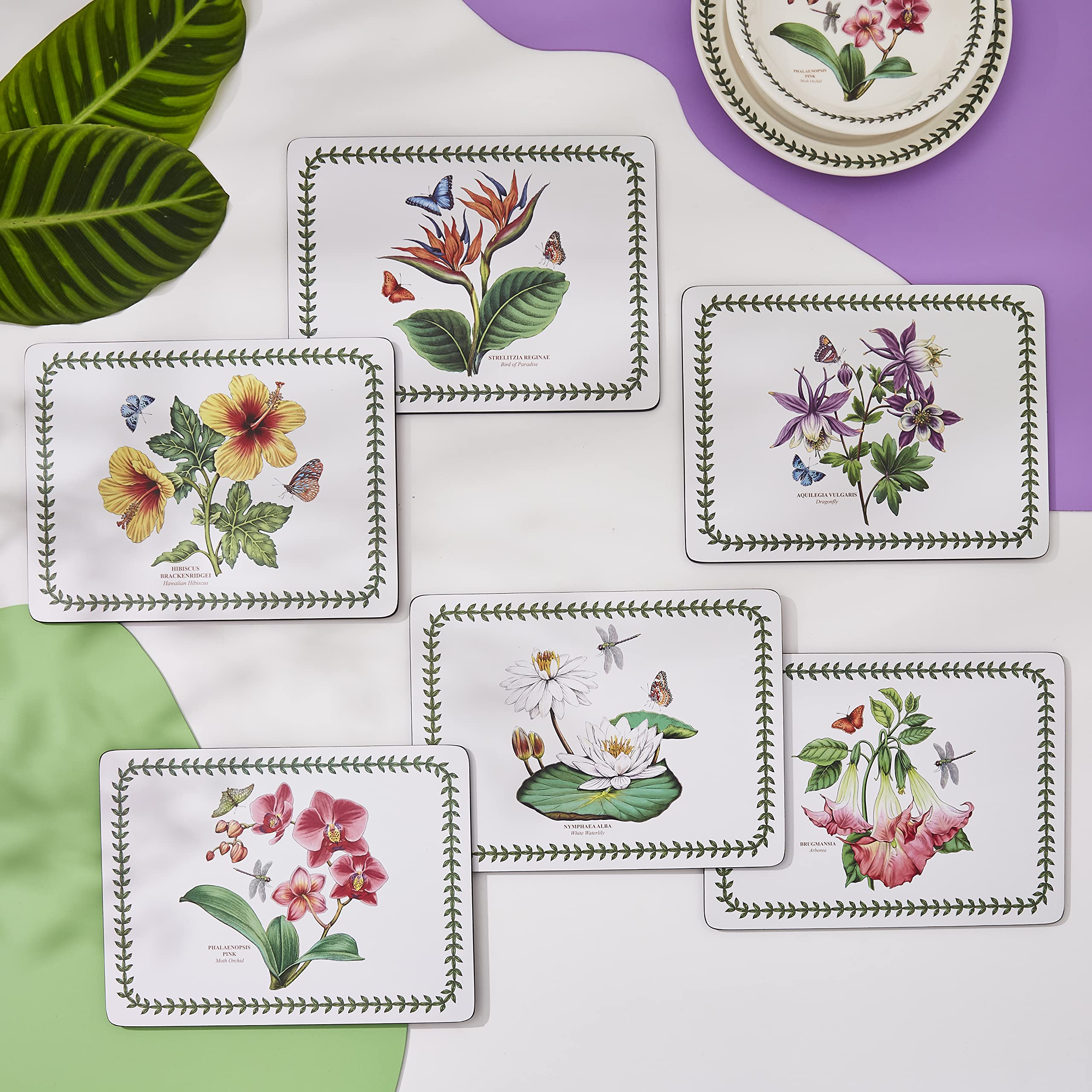 Portmeirion Exotic Botanic Garden Placemats Set of 6 - 12