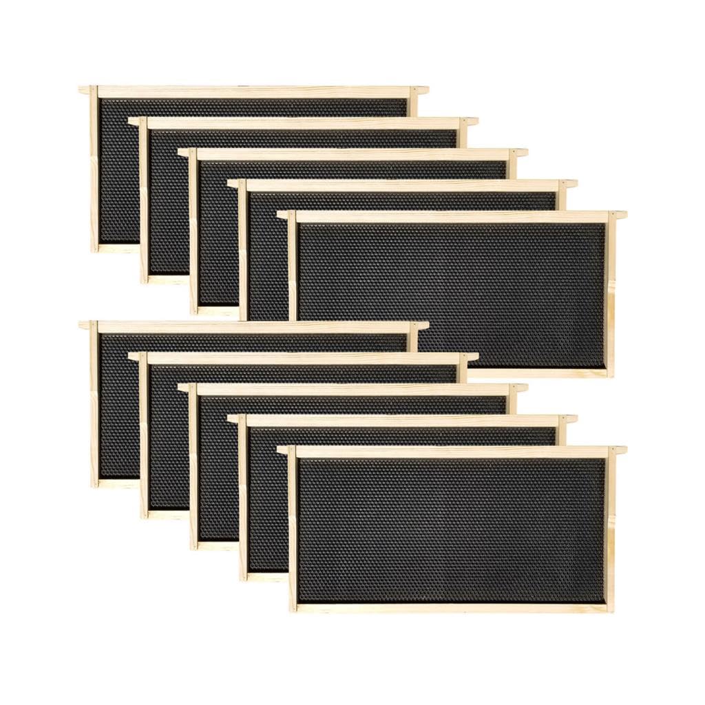 Premium Deep Brood Beehive Box with Frames - 16.25