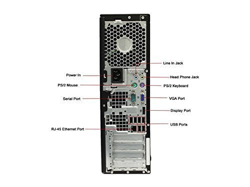 HP 6005 Pro Desktop Computer with Windows 10 Pro, Keyboard & Mouse Bundle - Powerful Business PC for Office Work, Home Use & Gaming