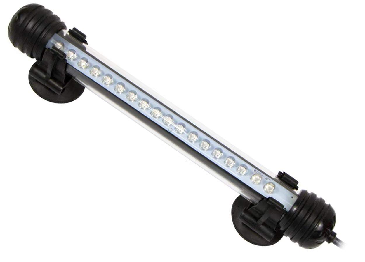 MingDak LED Aquarium Light - Submersible Fish Tank Light with White & Blue Options | Crystal Clear Glass Design for Freshwater & Saltwater Tanks | Perfect for Home, Office & Aquarium Decor