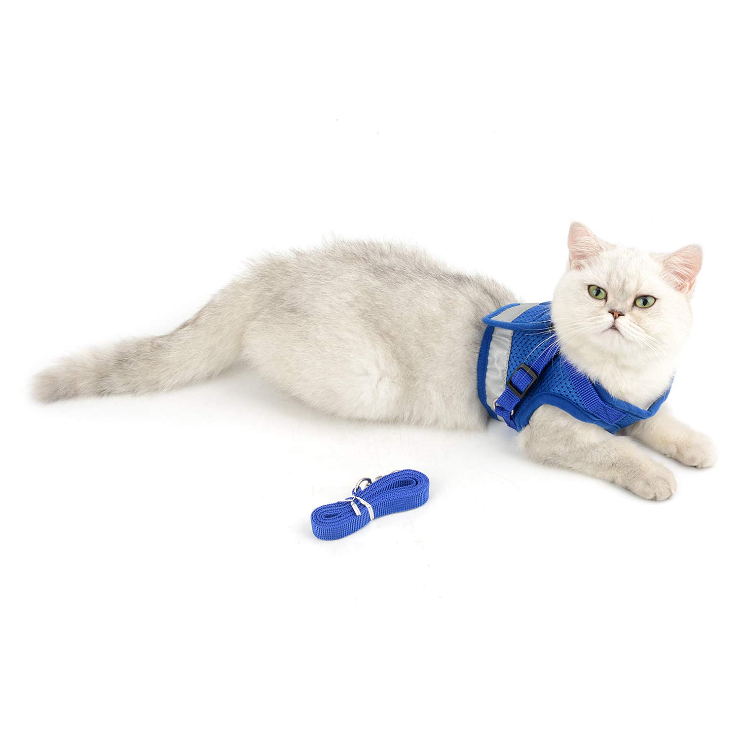 **Ranphy Escape-Proof Reflective Cat Harness & Leash Set – Adjustable No-Pull Soft Mesh Vest for Small Dogs & Cats – Lightweight Padded Walking Jacket for Puppy, Kitten, Boy & Girl – Training & Outdoor Adventures (Blue, XS)**    *(Use Cases: Perfect for safe walks, outdoor adventures, training sessions, and nighttime visibility with reflective strips.)*