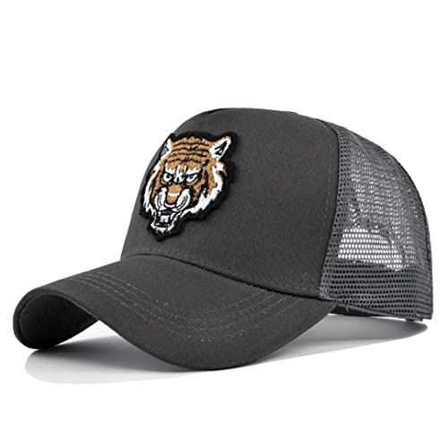 Tiger 6