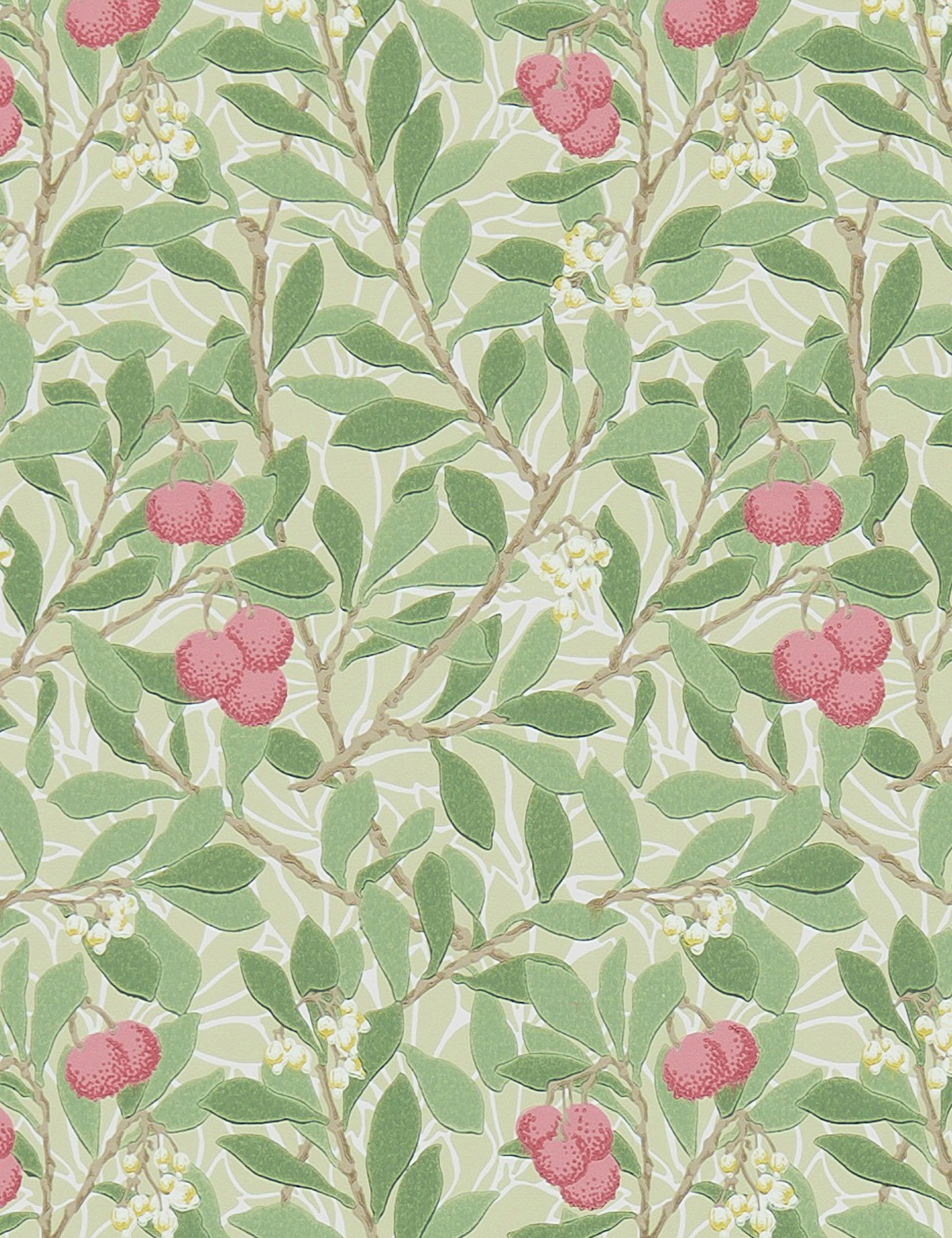 Arbutus Wallpaper by Morris & Co. - Olive and Pink Floral Design Swatch | Vintage Botanical Wallpaper for Living Room, Bedroom & Home Decor