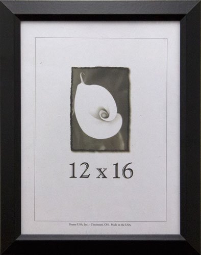 12x16 Polystyrene Poster Frame - Budget Saver Series (Black) | Lightweight & Shatter-Resistant for Wall Decor, Photos, Artwork | Perfect for Home, Office & Classroom Displays