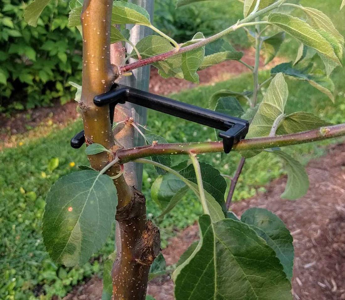 Premium Fruit Tree Limb Spreader - Strengthen Apple & Fruit Tree Branches | 25-Pack | German-Made | Perfect for Orchard Training & Home Garden Pruning