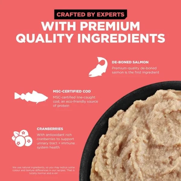 Go! Solutions Carnivore Grain-Free Salmon & Cod Pate Wet Cat Food - High Protein, Natural Ingredients for Adult Cats - Perfect for Picky Eaters & Sensitive Stomachs