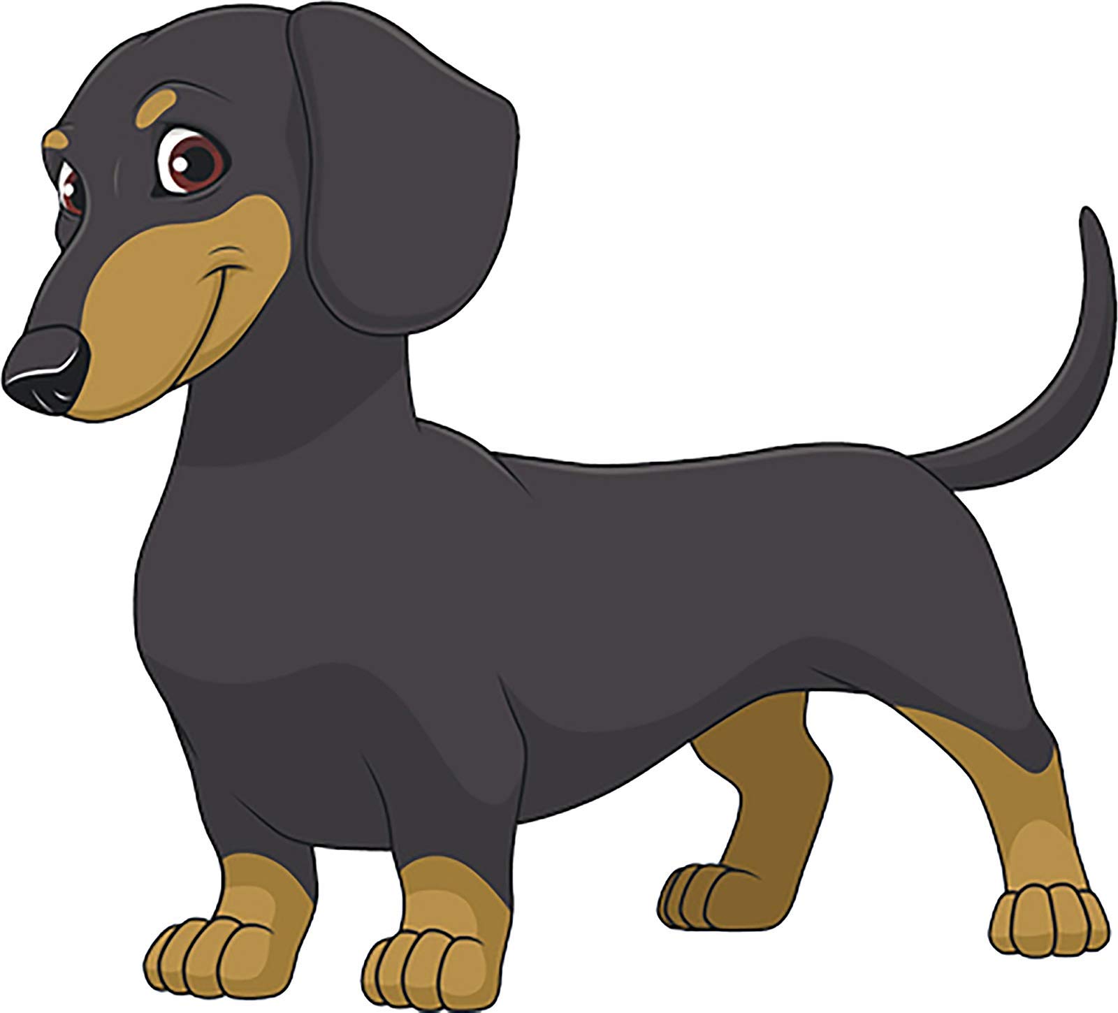 Adorable Retro Dachshund Dog Breed Cartoon Vinyl Magnet Bumper Sticker - 4 Inch Wide - Perfect for Cars, Fridges, Lockers & Office Decor