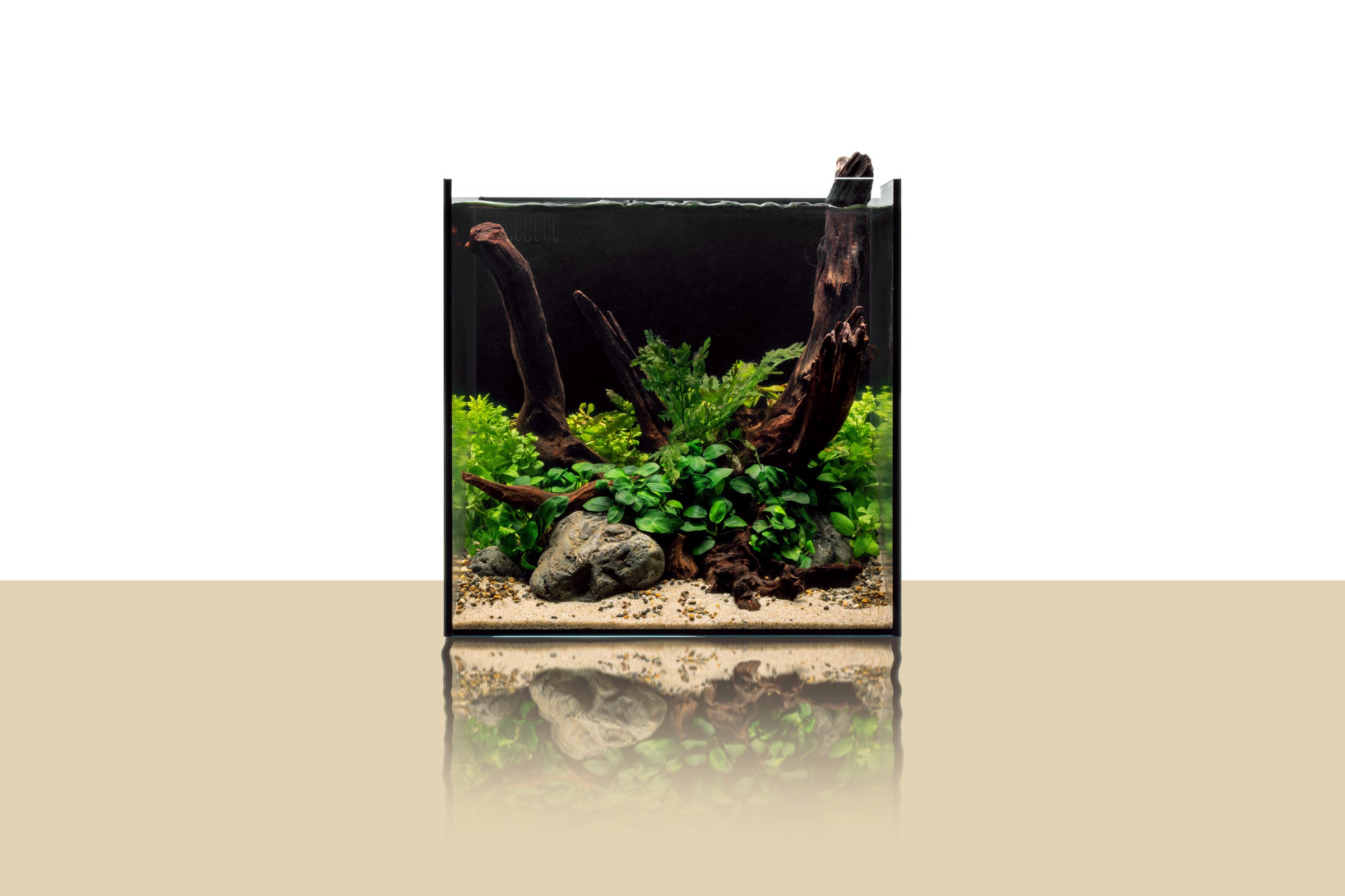 Premium UNS Dual All-in-One Glass Aquarium Tank - 5 Gallon Nano Fish Tank with Built-in Filtration System - Perfect for Home, Office, or Classroom Aquascaping and Small Fish Keeping