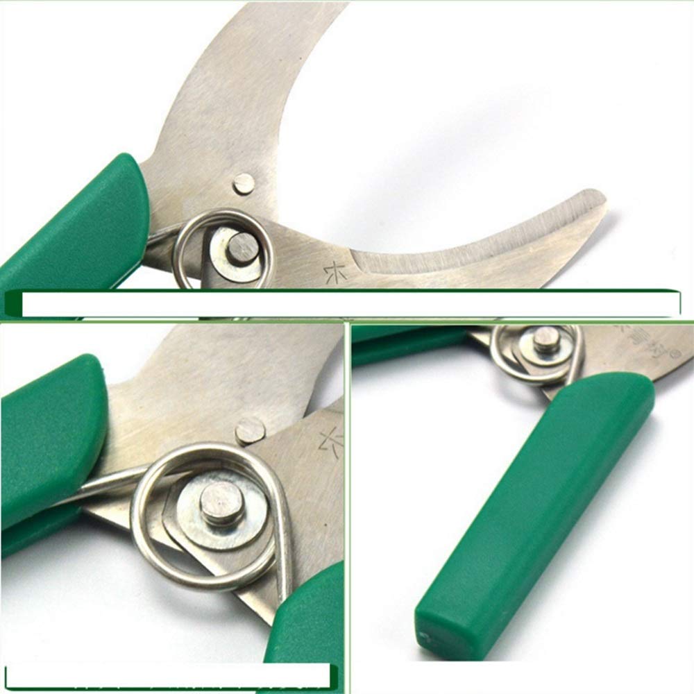 B-D Pruning Shears - Professional Garden Shears for Trimming, Cutting & Pruning | Heavy Duty Gardening Supplies & Landscaping Tools for Orchard, Yard & Home Use (Green) | Perfect for Shrubs, Branches & Household Greening Projects