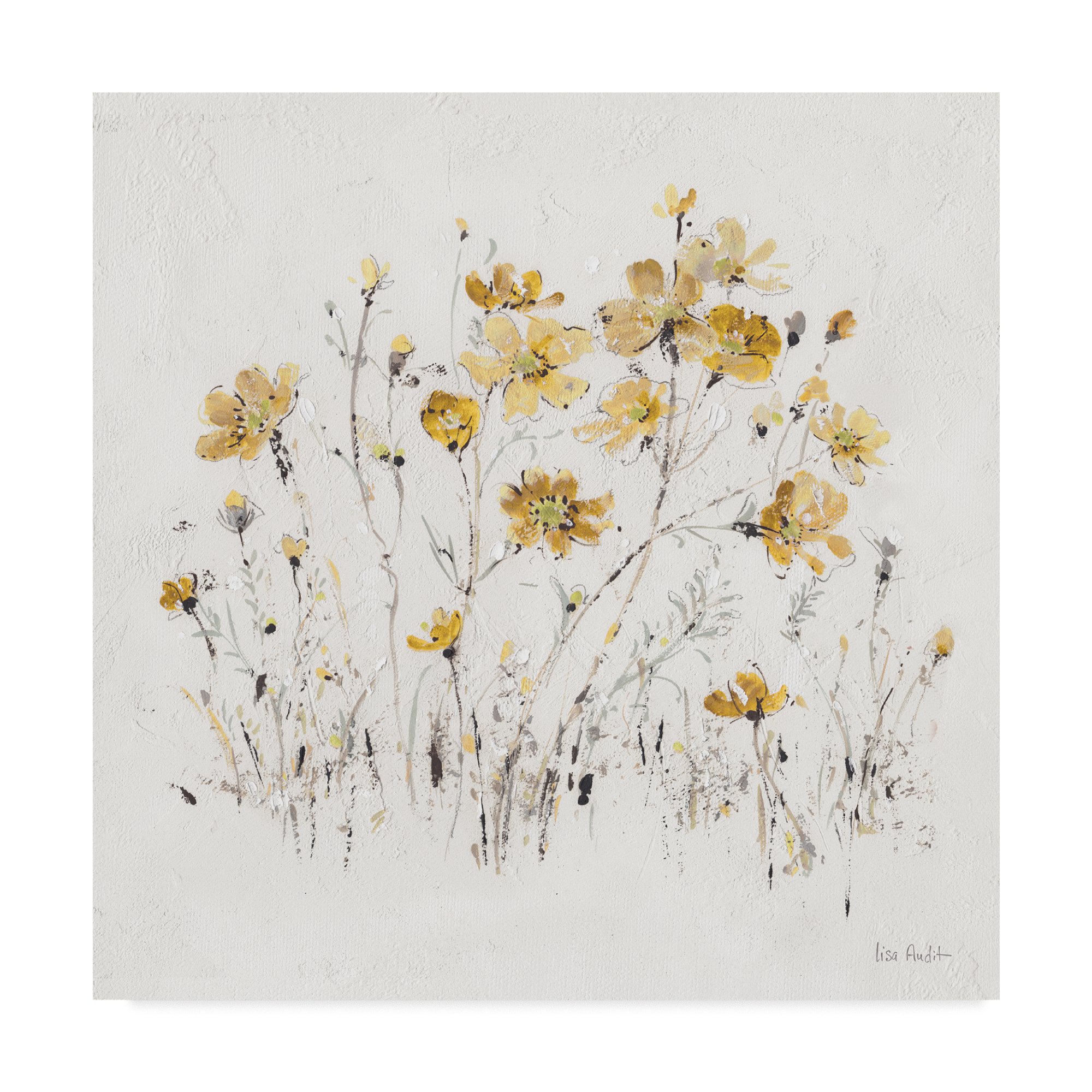 Trademark Fine Art Lisa Audit Multicolor Canvas Painting - Perfect for Living Room, Bedroom & Office Wall Decor