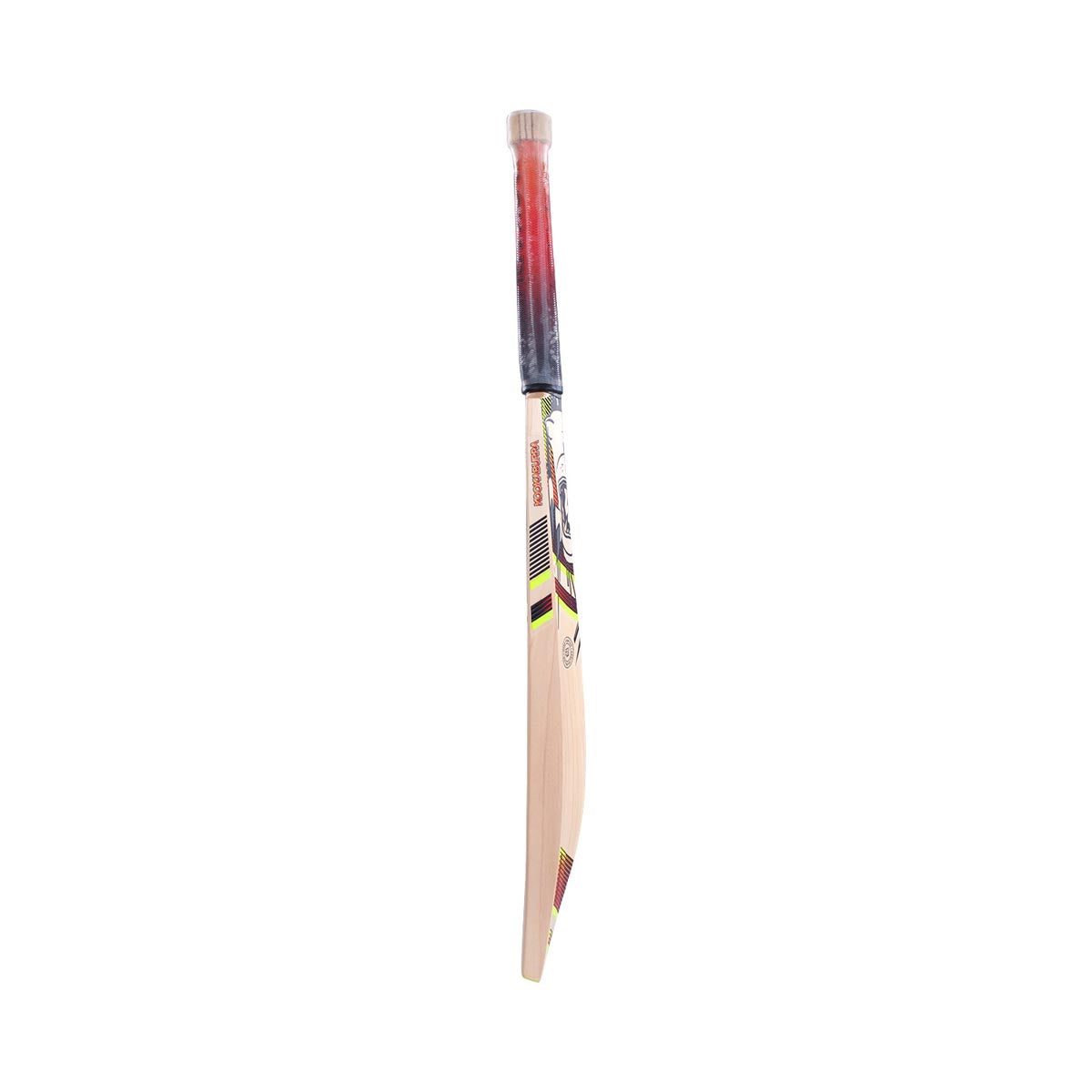 Kookaburra Beast 3.1 Junior Cricket Bat - Lightweight Wooden Cricket Bat for Kids & Youth - Perfect for Practice, Training & Matches