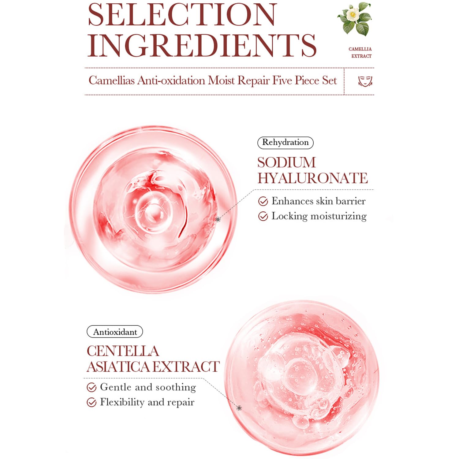 BIOAQUA Camellia Anti-Aging Moisturizing Skincare Set - Toner, Essence, Face Cream, Cleanser & Lotion with Camellia Flower Extract - Hydrating & Nourishing Gift Box (100ml+30ml+50g+80g+100ml, 5-Piece Set) for Dry, Sensitive & Dull Skin - Perfect for Daily Skincare Routine & Travel Essentials
