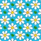 Daisy Pattern