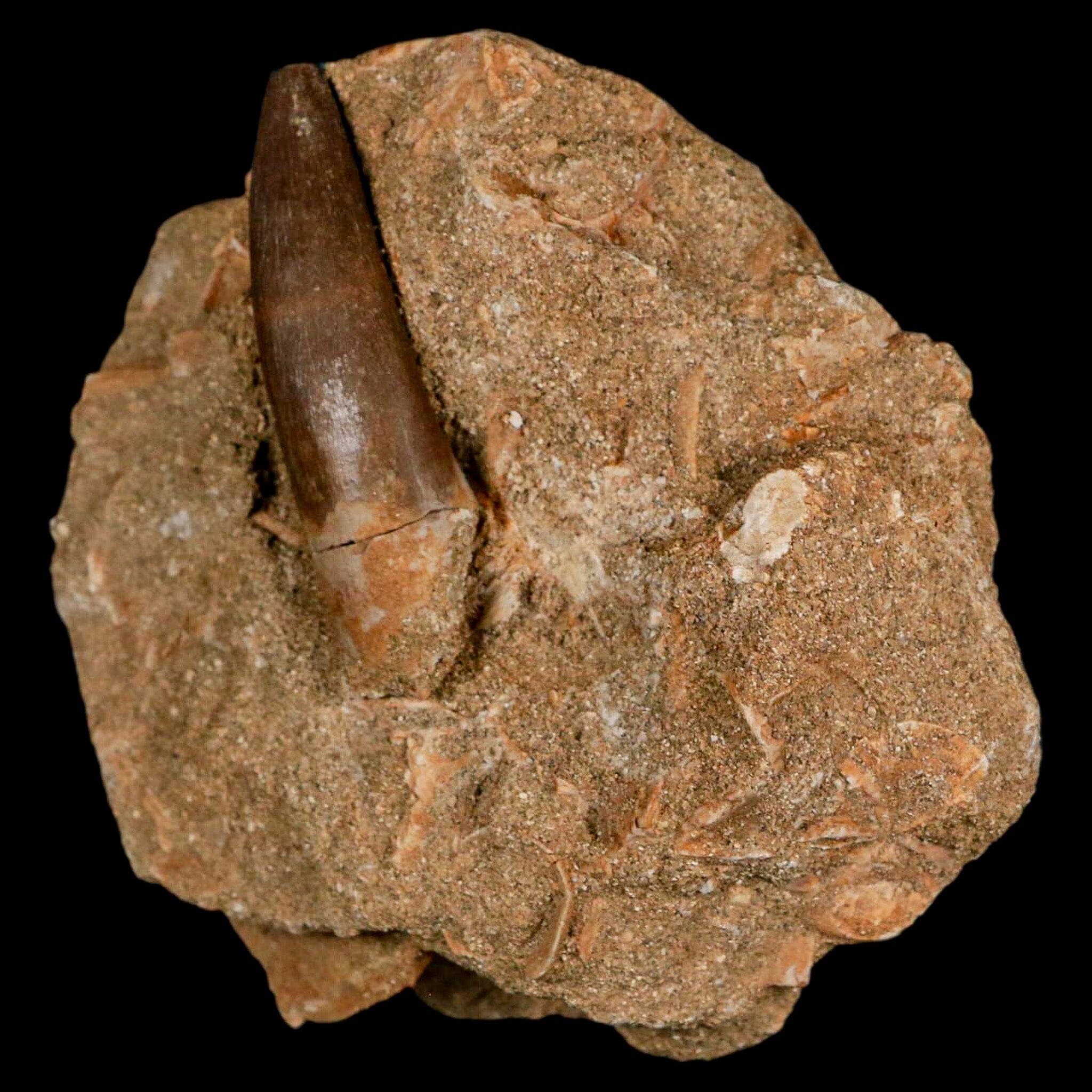 1.9