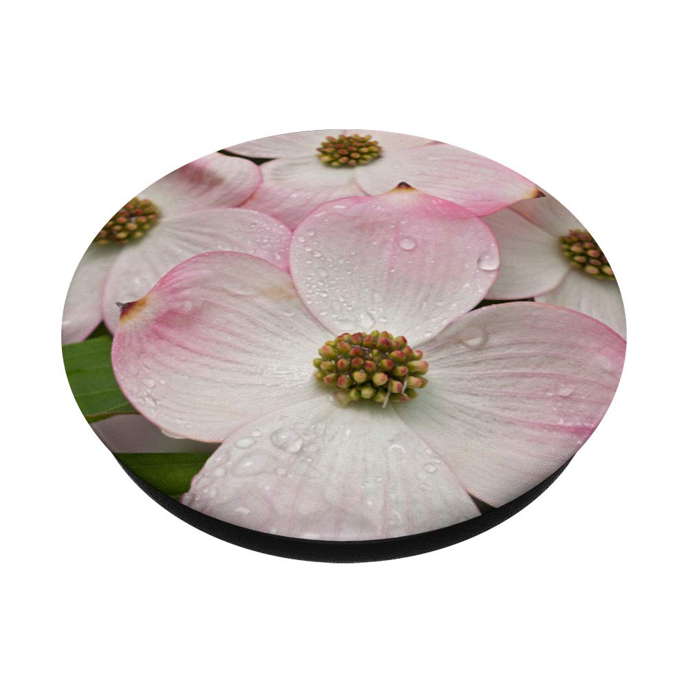 Dogwood Flower PopSockets Phone Grip & Stand - Expandable Phone Holder for iPhone, Samsung, Tablets - Perfect for Selfies, Gaming & Hands-Free Use