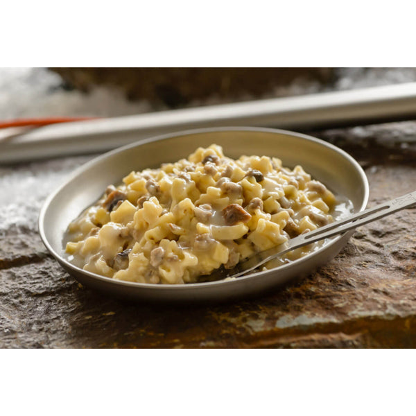 Beef Stroganoff with Noodles - 2 Servings | Premium Russian-Style Pasta Dish | Perfect for Quick Dinners & Family Meals