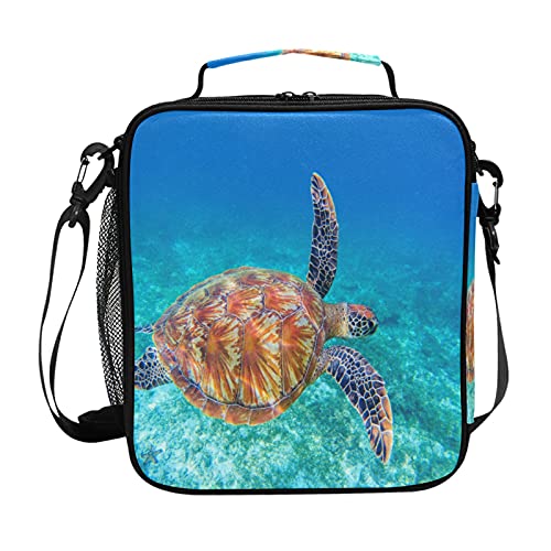 Sea Turtle