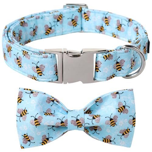 B-Blue Bee