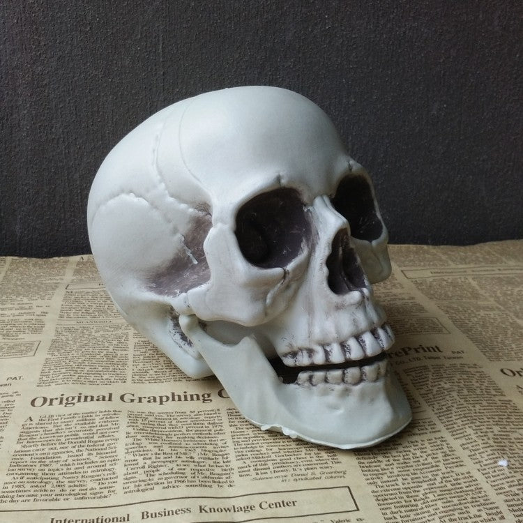 Realistic Artificial Skull Halloween Decor - Spooky Home & Party Decoration for Halloween, Haunted House, and Themed Events