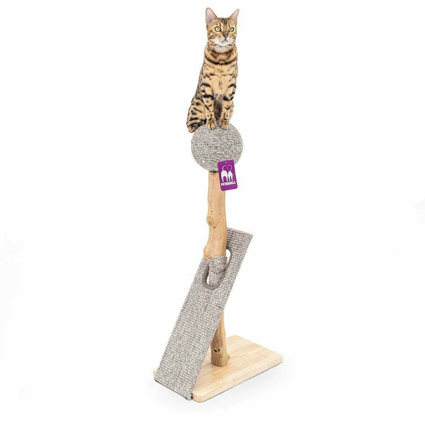 Little Rebels Palmdale 102cm Cat Tree with Scratching Posts & Perches - Multi-Level Playhouse for Indoor Cats - Perfect for Small Spaces & Apartments