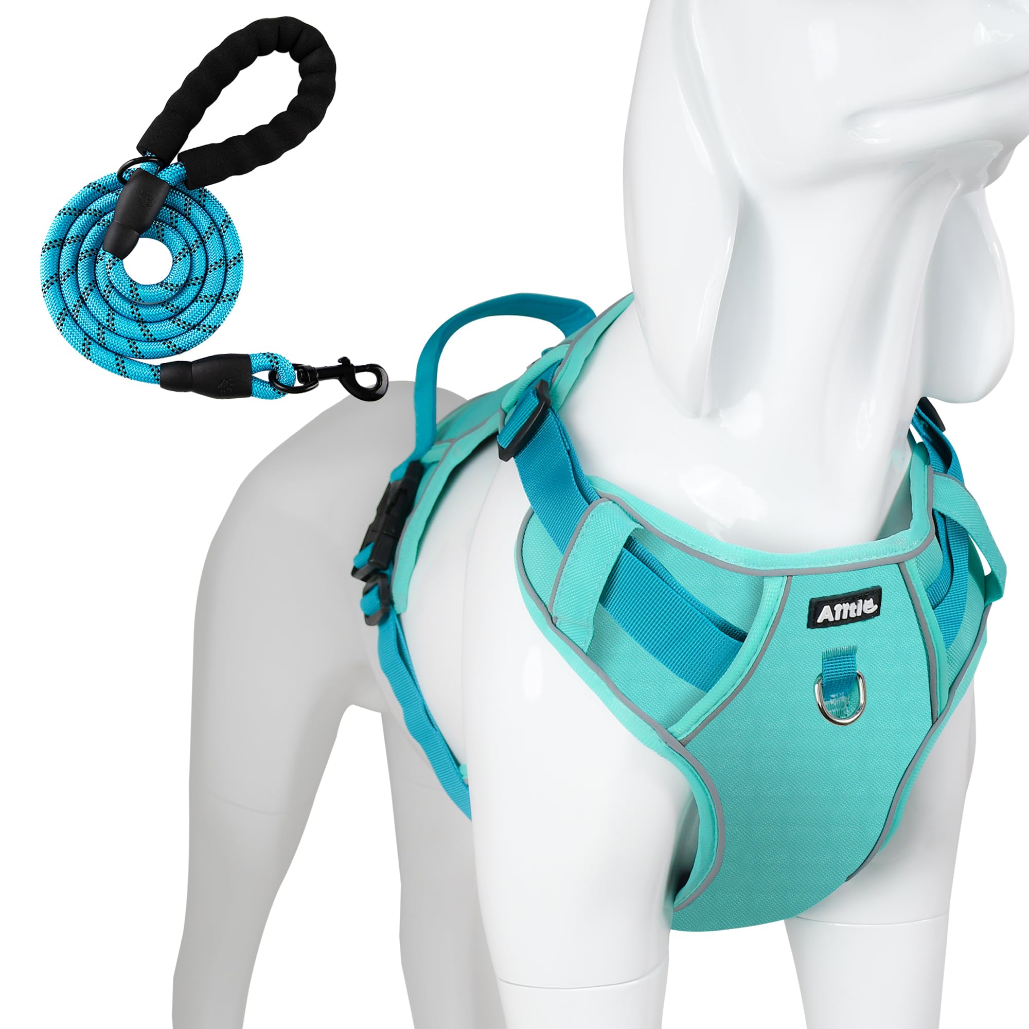 Durable No-Pull Dog Harness & Leash Set with Safety Memory Buckle - Adjustable Breathable Reflective Vest for Extra Small Dogs (XXS, Blue) - Perfect for Outdoor Walks, Hiking & Nighttime Safety