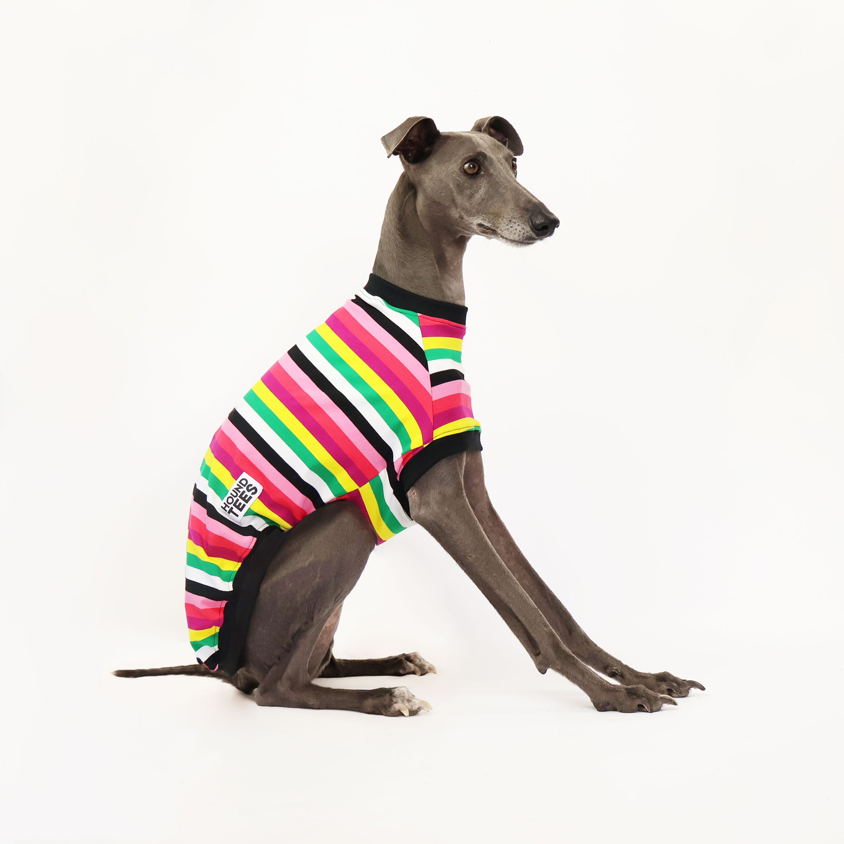 Liquorice Allsorts Whippet Sleeveless Dog T-Shirt - Fun Graphic Tee for Whippet Lovers, Casual Wear & Dog-Themed Outfits