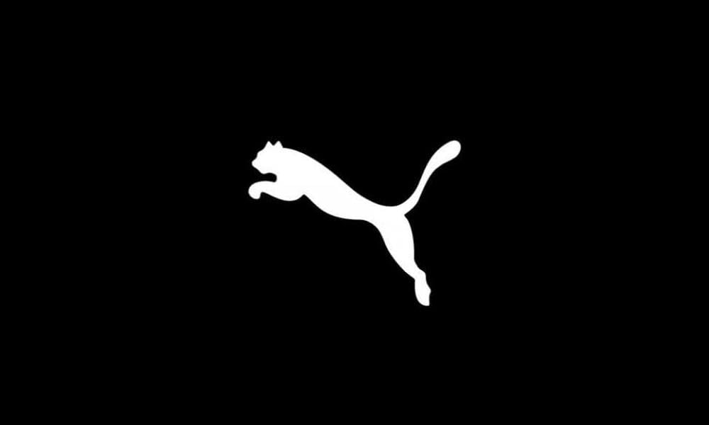 PUMA Men's TeamGOAL 23 Training Sweat Pullover Hoodie - Comfortable Gym Workout Jacket for Running, Jogging & Casual Wear