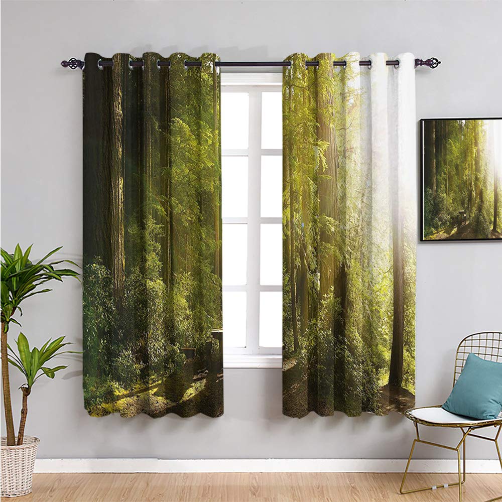 QIAOQIAOLO Soundproof Curtains for Bedroom - 63 Inch Length Sunny Rainforest Print with Wood Bench in Olympic National Park - Light Reducing Thermal Insulated Drapes (63x63 Inches, Green & Yellow) - Perfect for Home Theater, Nursery, Office & Noise Reduction
