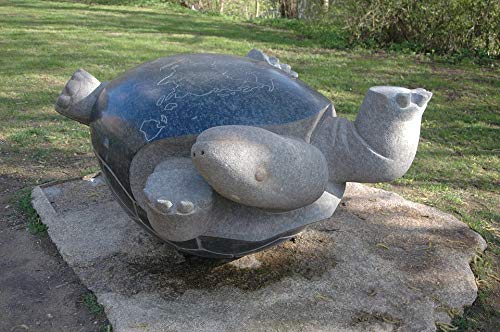 Chernobyl Turtle Monument Vintage Poster - 20x30 Inch Laminated Wall Art with Vibrant Colors - Perfect for Home, Office & Classroom Decor - Durable Framed Artwork for Living Room, Bedroom or Study