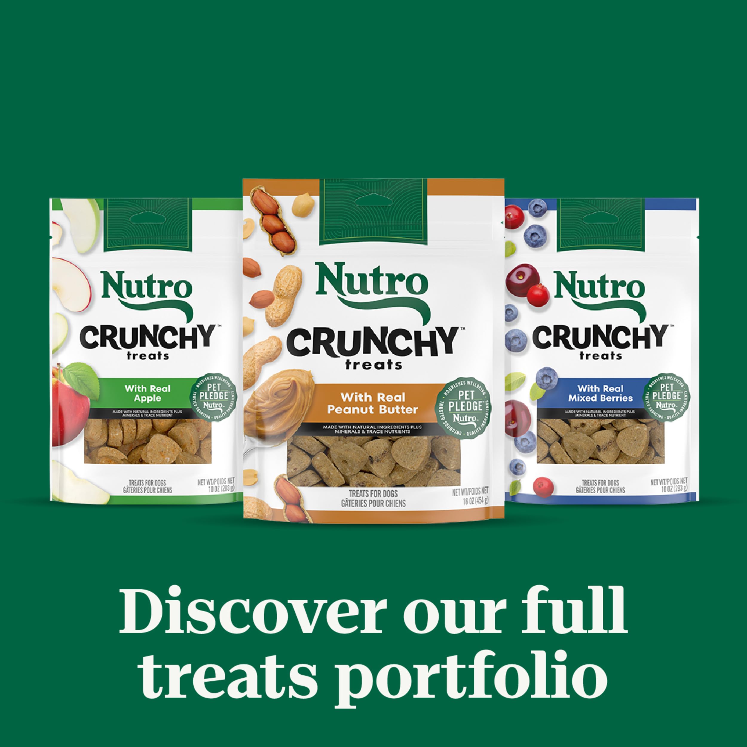 Nutro Crunchy Dog Treats with Real Apple - Healthy Natural Snacks for Small & Large Dogs - 16 oz Resealable Bag - Perfect for Training, Rewards & Dental Health