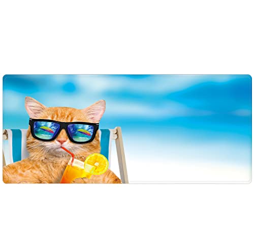 cute cat