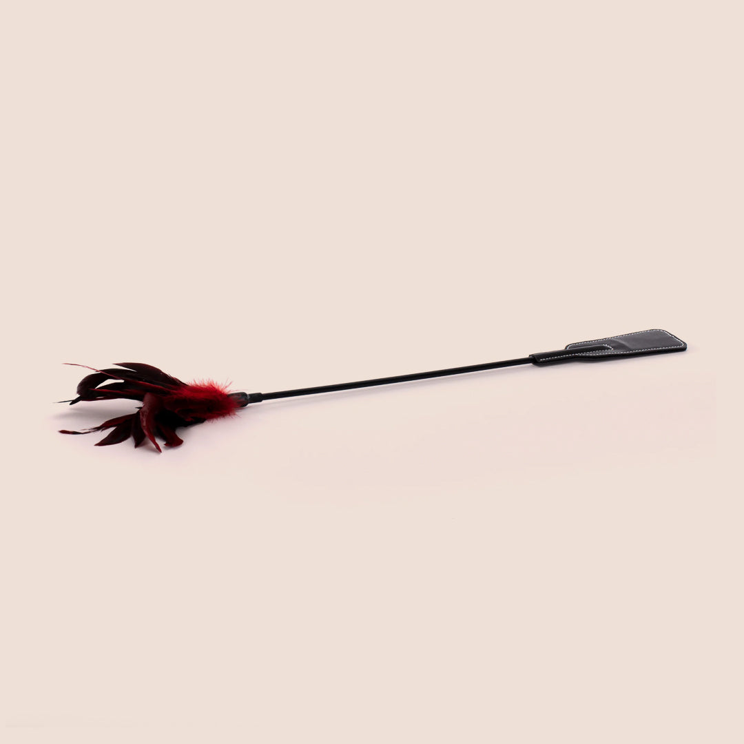 Sex & Mischief Feather Slapper - Double Ended Feather Plume & Vinyl Spanking Paddle for Sensual Play, BDSM, and Adult Entertainment