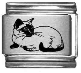Siamese Cat Laser Pointer Toy - Interactive Pet Toy for Cats & Kittens - Red Dot Laser for Exercise & Play - Perfect for Indoor Playtime & Bonding with Your Siamese Cat