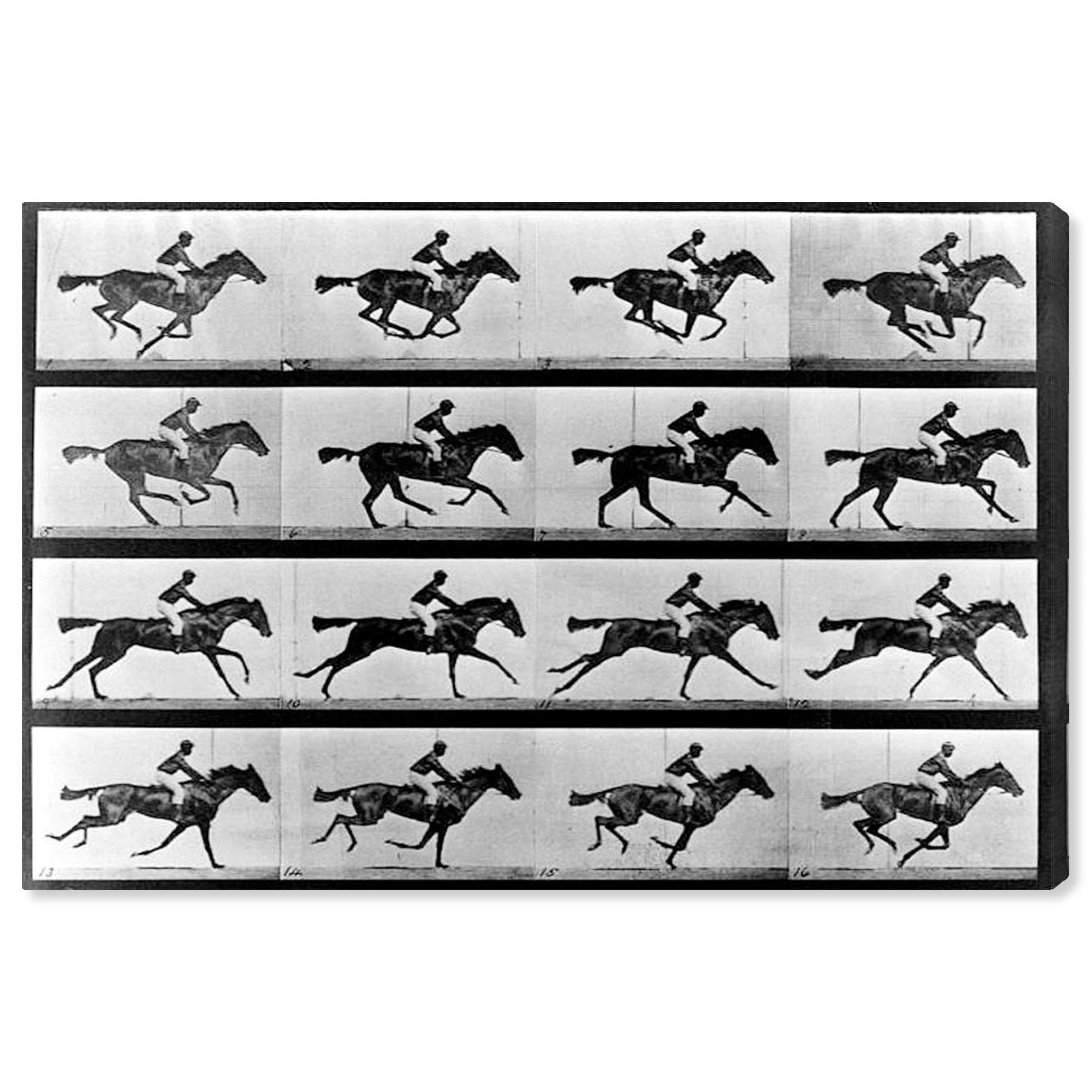 Oliver Gal Artist Co. 'Horse in Motion II' Animal Wall Art Canvas Print - 36x24 Inches Black & White Modern Home Decor - Perfect for Living Room, Bedroom or Office Decor