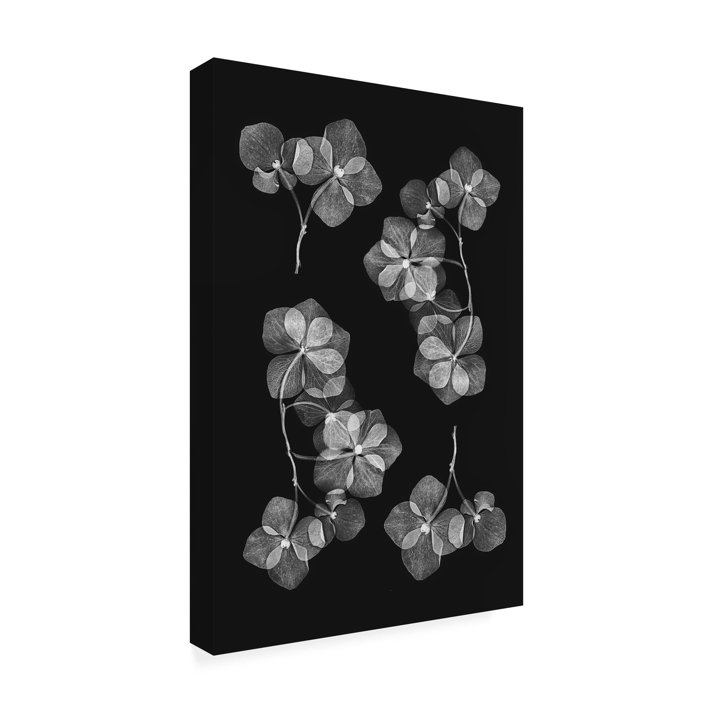 Lenka's 'Botanical 46' Floral Canvas Wall Art Print - Handmade Premium Home Decor for Living Room, Bedroom & Office