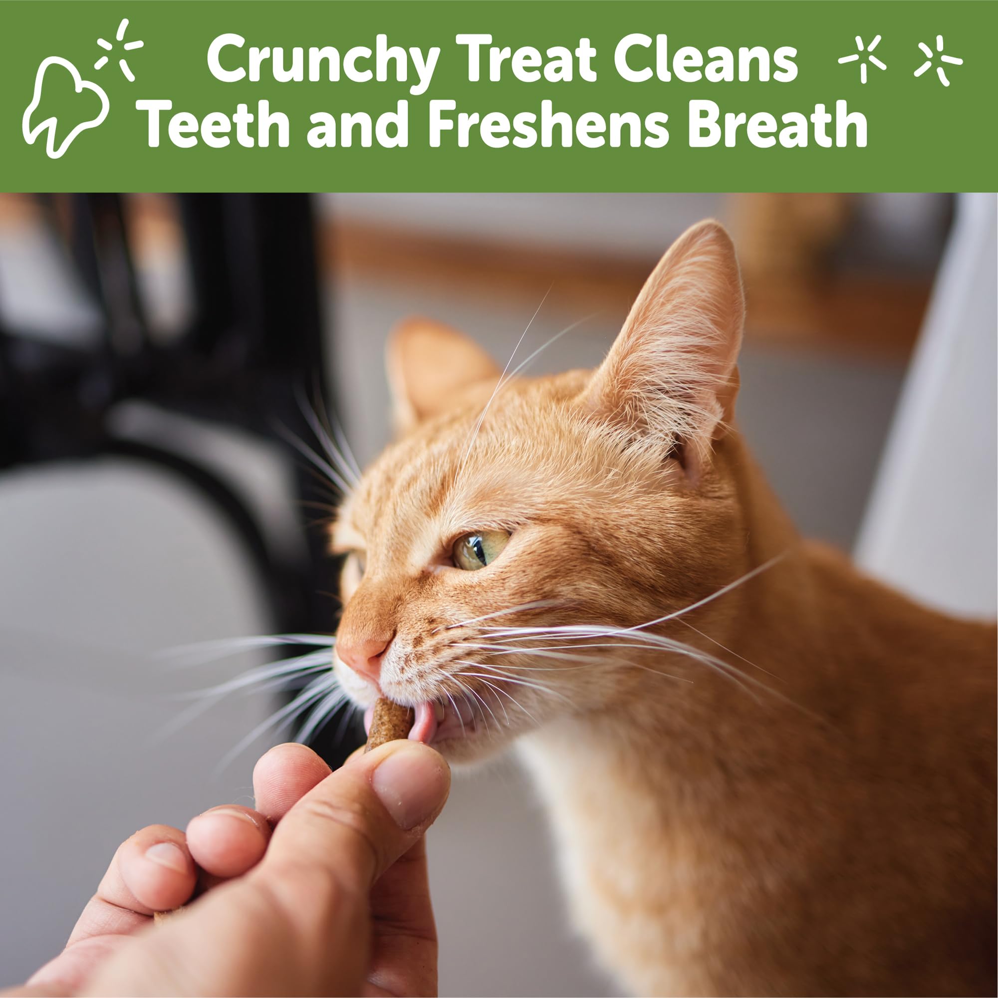 Whimzees Natural Cat Dental Treats - Chicken & Tuna Flavor, Grain-Free Dental Chews for Cats, 4.5oz Bag - Promotes Oral Health & Fresh Breath for Indoor & Outdoor Cats